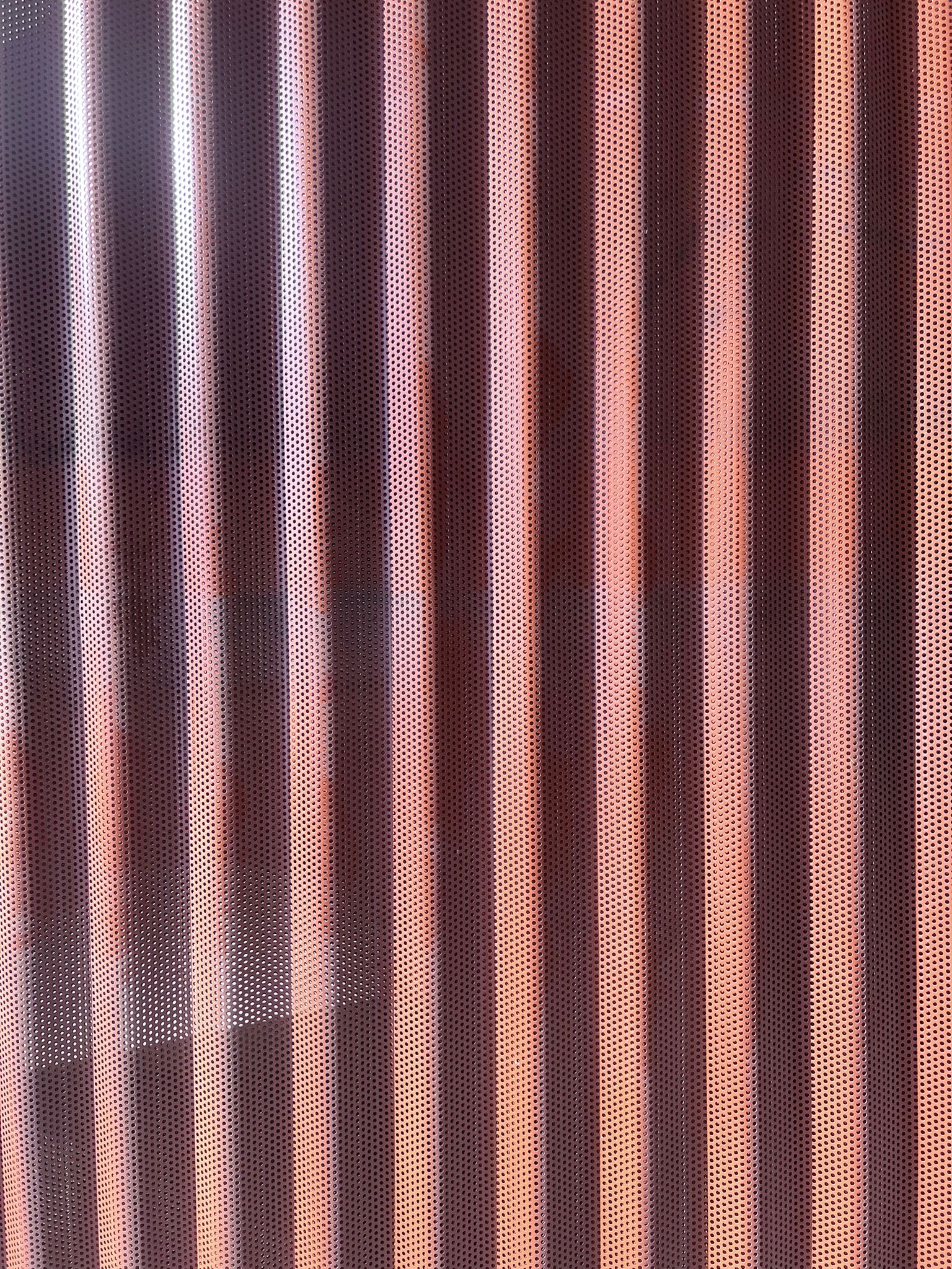 Chapa Trapezoidal y Minionda Perforada - Imagen 2