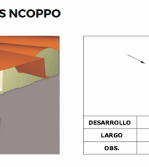coronacion lateral teja